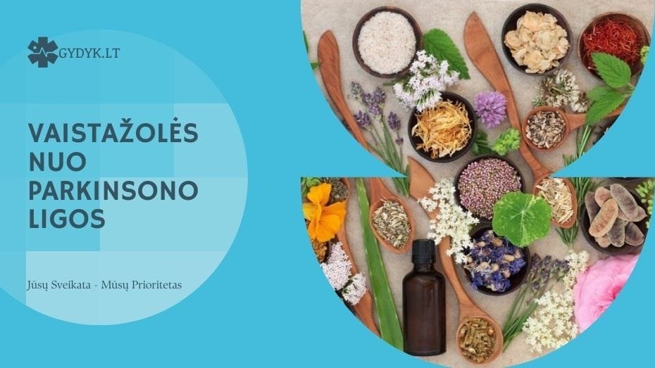 Vaistažolės nuo Parkinsono ligos: kokios labiausiai padeda?