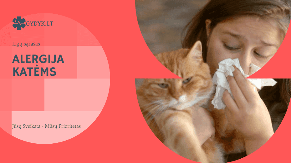 Alergija katėms: priežastys, simptomai ir gydymas