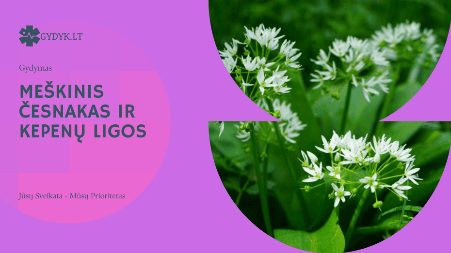 Meškinis česnakas ir kepenų ligos: Ar jis gali padėti?