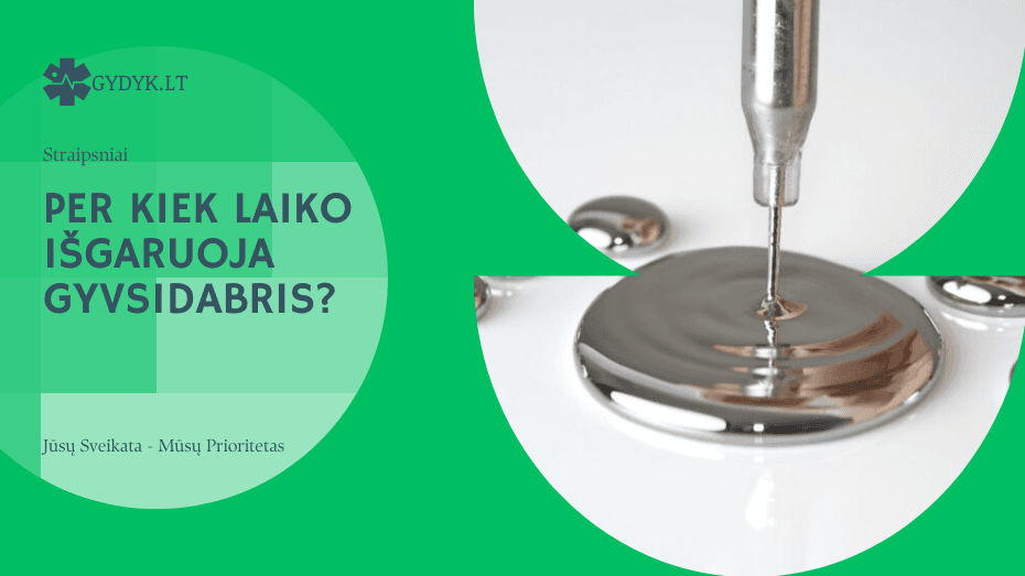 Per kiek laiko išgaruoja gyvsidabris