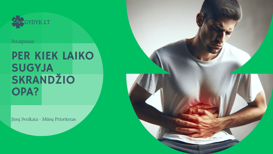 Per kiek laiko sugyja skrandžio opa? Per kiek laiko sugyja skrandžio opa