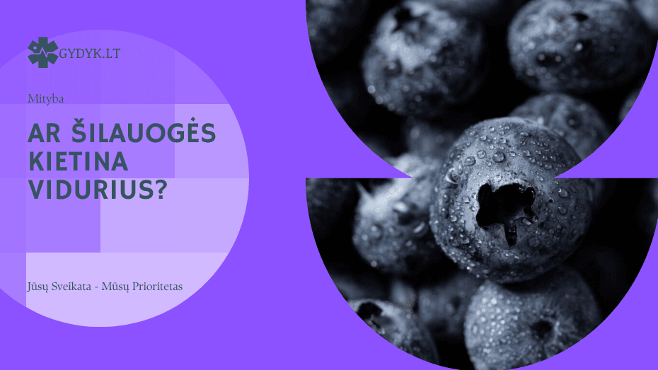 Ar šilauogės kietina vidurius? Ar šilauogės kietina vidurius?