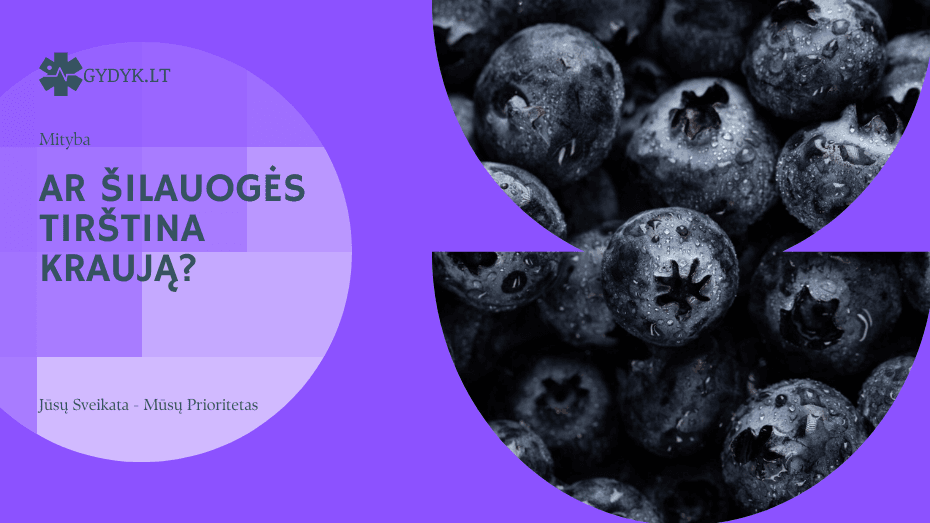 Ar šilauogės tirština kraują? Ar šilauogės tirština kraują