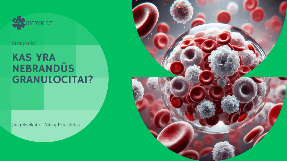 Kas yra nebrandūs granulocitai
