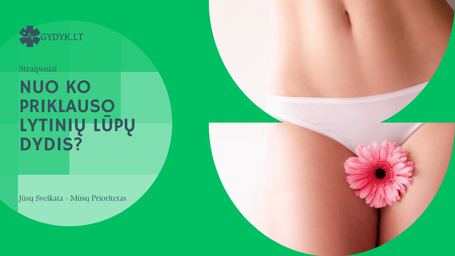 Nuo ko priklauso lytinių lūpų dydis