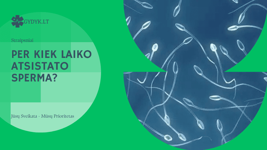 Per kiek laiko atsistato sperma