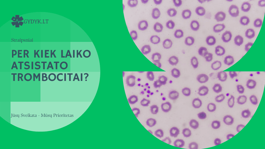 Per kiek laiko atsistato trombocitai? Per kiek laiko atsistato trombocitai