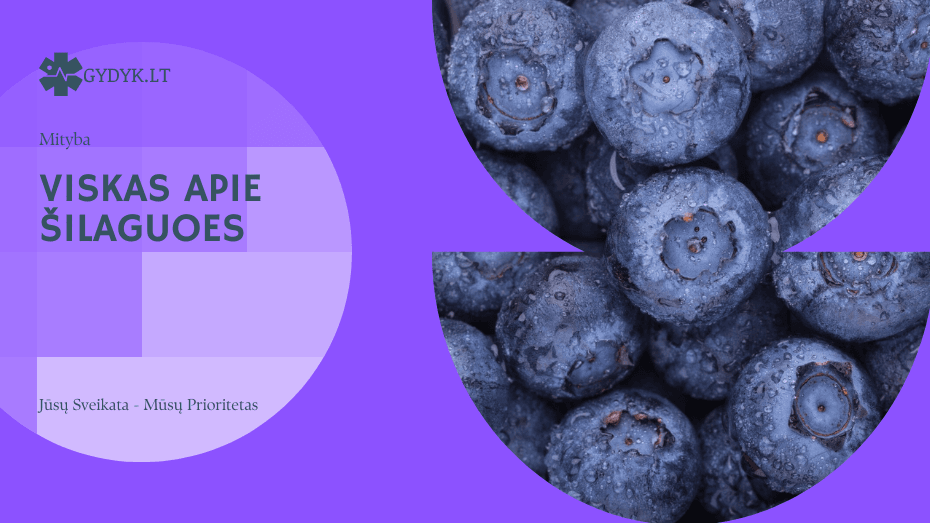 Šilauogės: maistinė vertė, kalorijos ir nauda sveikatai Viskas apie šilaguoes