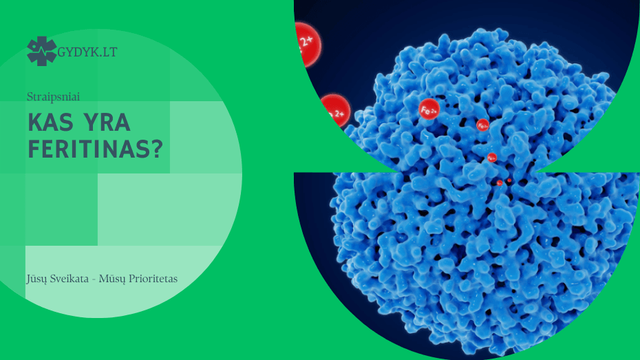 kas yra feritinas