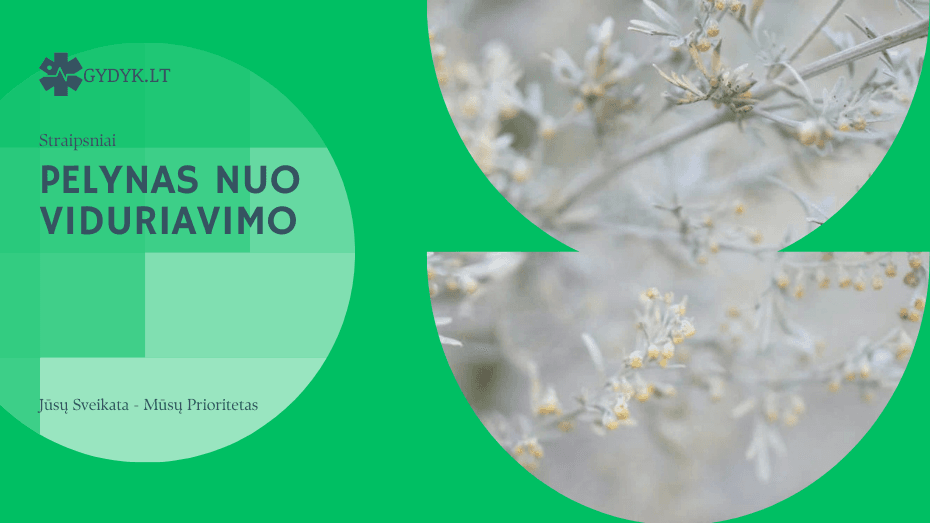 Pelynas nuo viduriavimo: kaip jis veikia virškinimo sistemą? Pelynas nuo viduriavimo