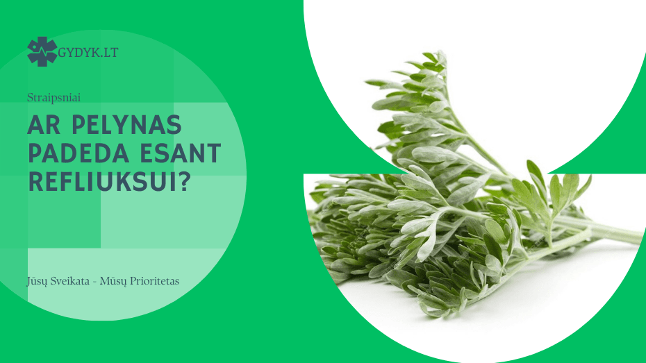 Pelynas ir refliuksas: ar ši žolelė gali padėti sumažinti rūgštingumą? ar pelynas padeda esant refliuksui?