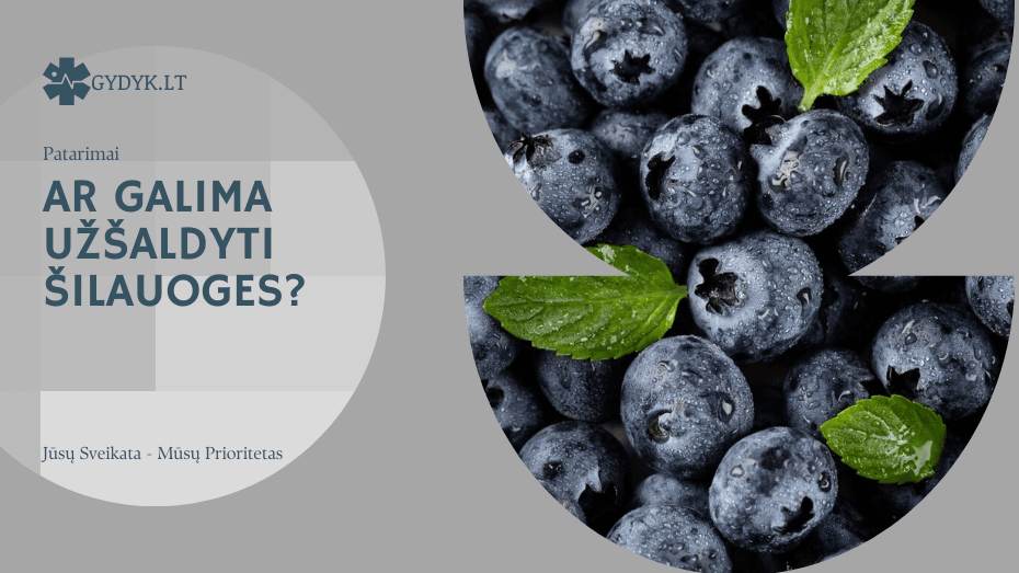 Ar galima užšaldyti šilauoges