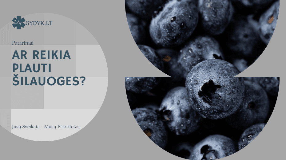 Ar reikia plauti šilauoges