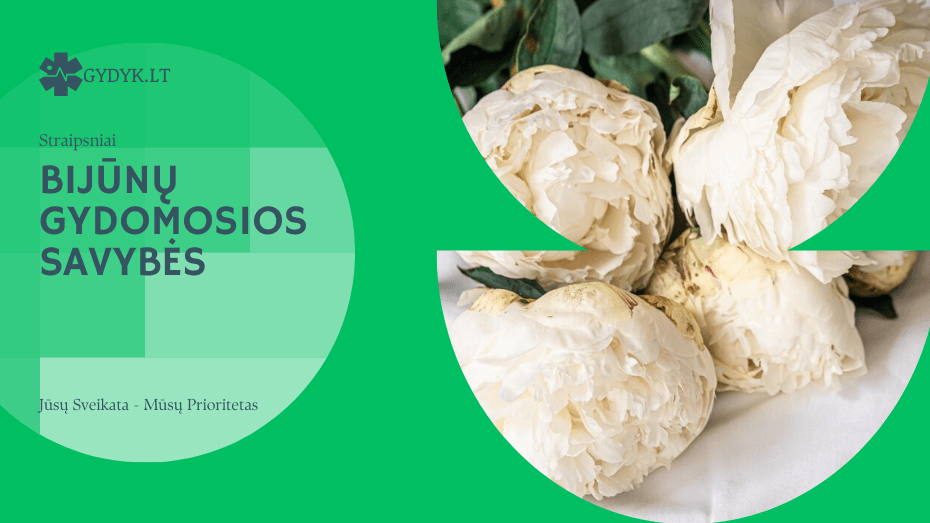 Bijūnų gydomosios savybės