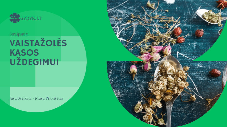 Vaistažolės kasos uždegimui