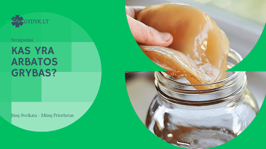 Kas yra arbatos grybas(1)