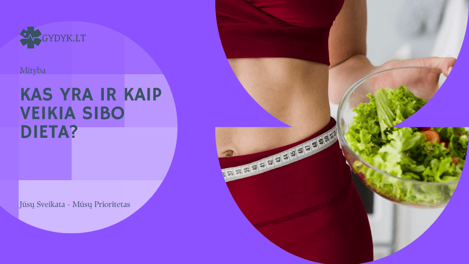 SIBO dieta: ką valgyti esant plonosios žarnos bakterijų pertekliui? kas yra ir kaip veikia sibo dieta