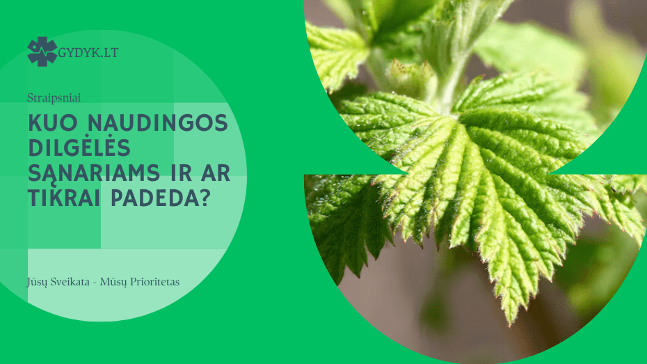 Kuo naudingos dilgėlės sąnariams ir ar tikrai padeda