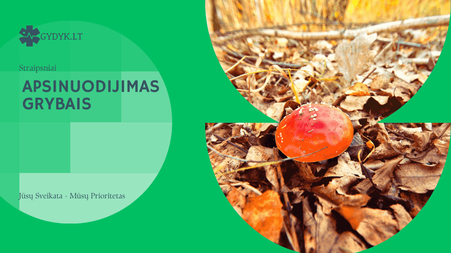 Apsinuodijimas grybais