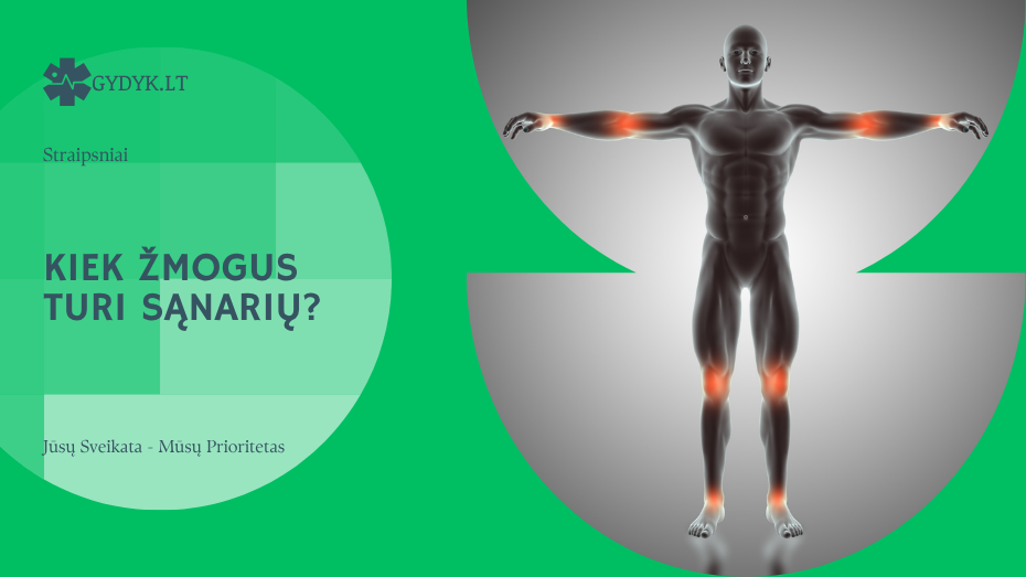 Kiek žmogus turi sąnarių?