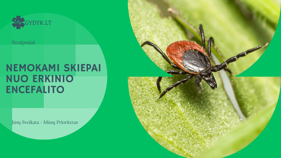 Nemokami skiepai nuo erkinio encefalito – sąlygos ir tvarka Lietuvoje