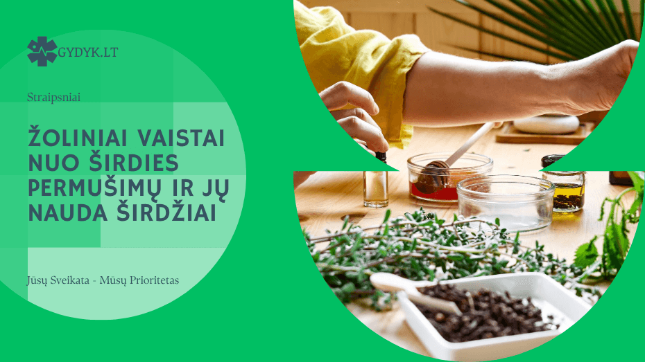 Žoliniai vaistai nuo širdies permušimų ir jų nauda širdžiai