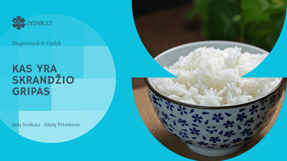 Kas yra skrandžio gripas: priežastys, simptomai ir gydymas