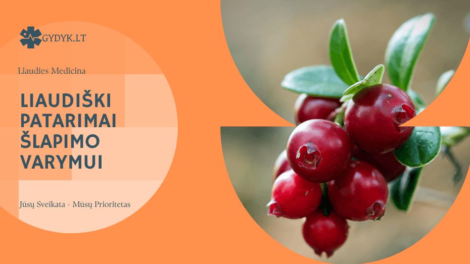 Liaudiški patarimai šlapimo varymui: ką iš tiesų verta išbandyti? Liaudiški patarimai šlapimo varymui: ką iš tiesų verta išbandyti?