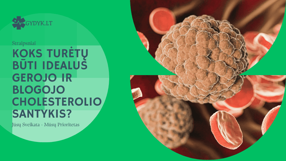 Koks turėtų būti idealus gerojo ir blogojo cholesterolio santykis